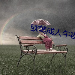 欧美成人午夜视频大全在线观看