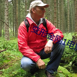 变形金(金)刚1电(電)影(影)免费(費)观看完