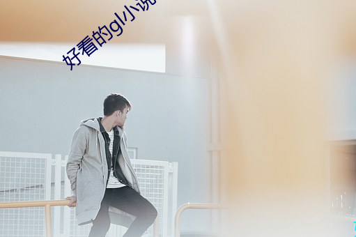 好看的gl小说