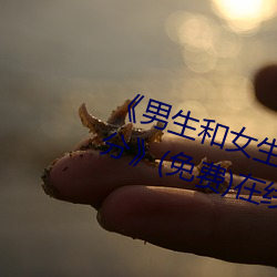 《男生和女生一起(起)差差的轮滑鞋30分》(免(免)费)在线观看