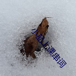 小品上課串詞