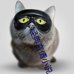 经典(典)言情(情)小说