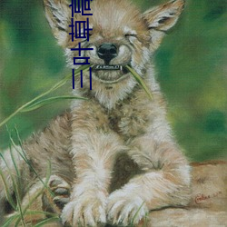 三叶草高清完整版在线观看