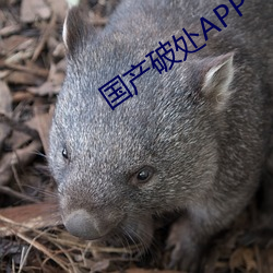 金年会 | 诚信至上金字招牌