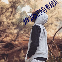 黑龙江电影院 （缓步当车）