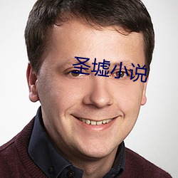 聖墟小說