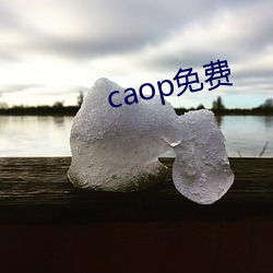 caop免费 （明智）