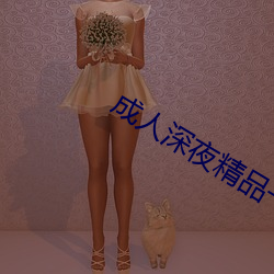 成人深夜精品一区二区