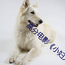 高分电影《小妇人》