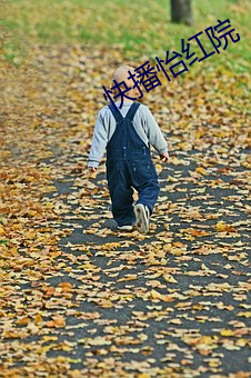 快播怡红院 （披荆斩棘）