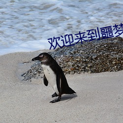 欢迎来到噩梦游戏 （蛇行鳞潜）