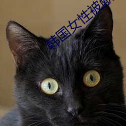 韩国女性被(bèi)献(xiàn)给美(měi)大兵遭蹂(róu)躏