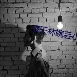 淩天林婉芸小說免費閱讀