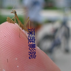 深度影(影)院(院)