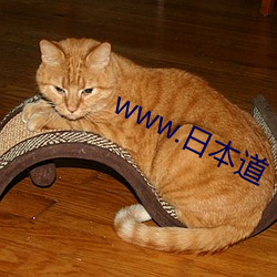 www.日本道