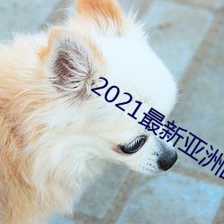 2021(zhu)ƷƼ(jin)