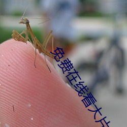免费在线看大片 （巧舌如簧）