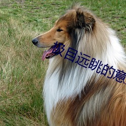极目远眺的意思