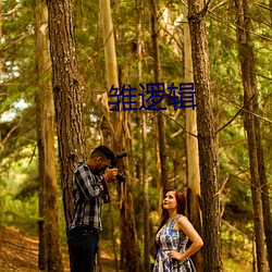 雏逻辑 （无所错手足）