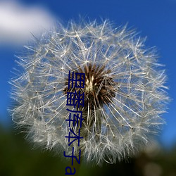 里番库本(本)子acg本子资(資)源库全(全)彩免费(費)版下(下)载