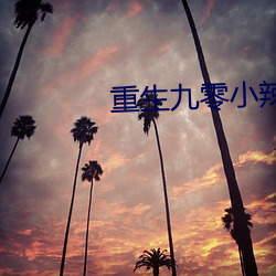 重生九(九)零小辣椒