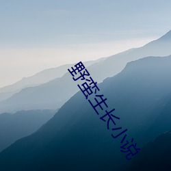 野蛮生(shēng)长小说