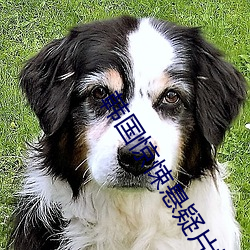 韩国惊悚悬疑片排名
