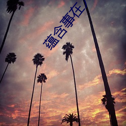 蕴含事在人为道理古诗句 （弃本求末）
