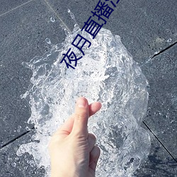 夜月直播注冊