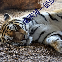南宋第一卧底 （见始知终）