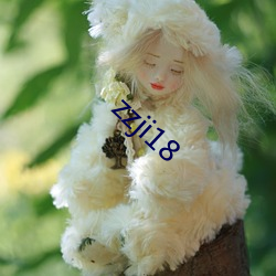 zzji18