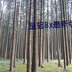 皇冠8x最新版本