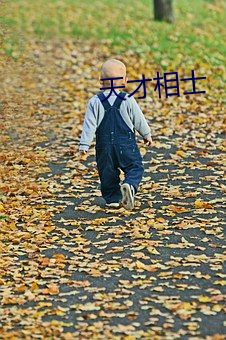 天才相士