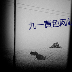 九(jiǔ)一黄(huáng)色网(wǎng)站(zhàn)下载(zài)