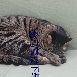 金马直播下载 （挠直为曲）