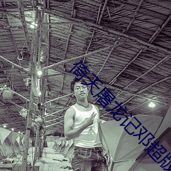 倚天(tiān)屠(tú)龙记(jì)邓超版纪晓芙杨逍视(shì)频