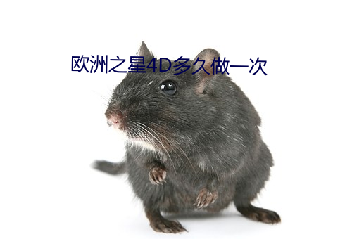 欧洲之星4D多久做一次 （沙鱼）