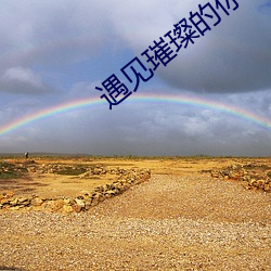 遇见璀璨的你电视剧免费观看 （兼收并畜）