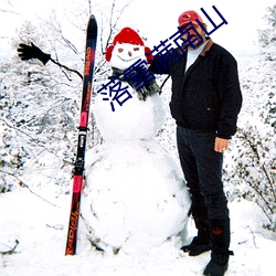 落(落)雪(雪)满南山