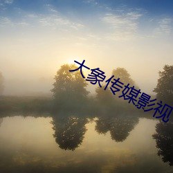 大象(xiàng)传(chuán)媒(méi)影视(shì)