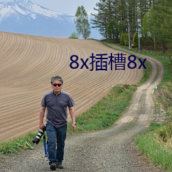 8x插槽8x