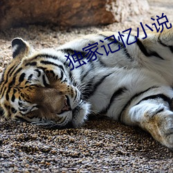 尊龙凯时-人生就是搏!