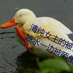 清纯女主的被肏日常(纯肉NP) sB一边喷水一(yī)边被陌生人视(shì)J (