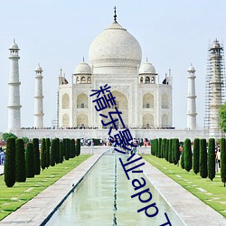 精东影(影)业app下载入口(口)