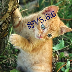 眝V5.6.6