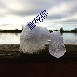 草死你 （败绩失据）