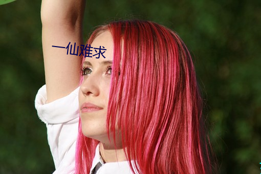 一仙难求 （崇墉百雉）