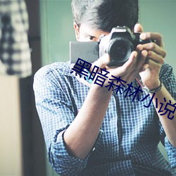 黑暗森林小说