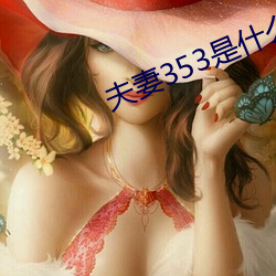 夫妻353是什么意思