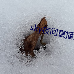 sky夜间(間)直播间